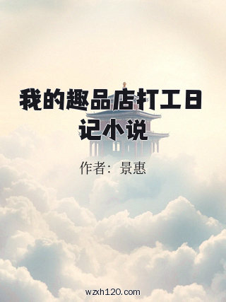 我的趣品店打工日记小说