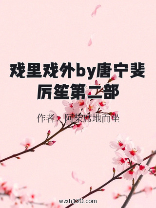戏里戏外by唐宁斐厉笙第二部