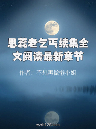 思蕊老乞丐续集全文阅读最新章节
