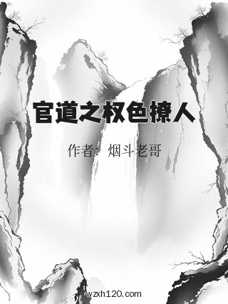 官道之权色撩人