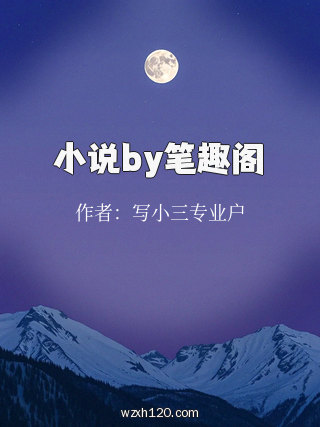 小说by笔趣阁