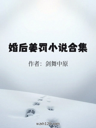 婚后姜罚小说合集