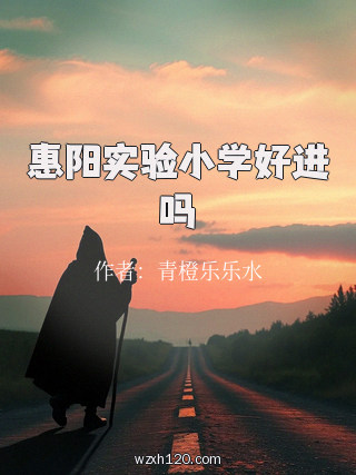 惠阳实验小学好进吗