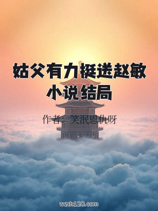 姑父有力挺送赵敏小说结局