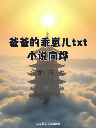 爸爸的乖崽儿txt小说向烨