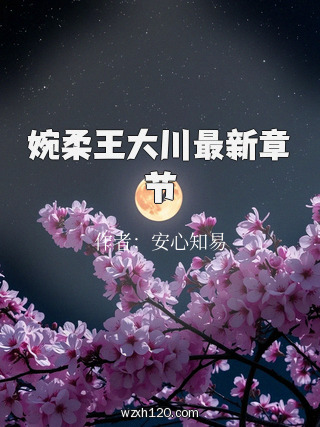 婉柔王大川最新章节
