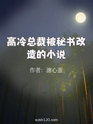 高冷总裁被秘书改造的小说