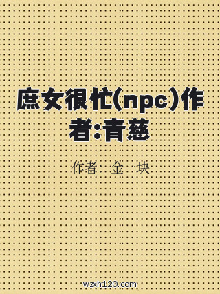 庶女很忙(npc)作者:青慈
