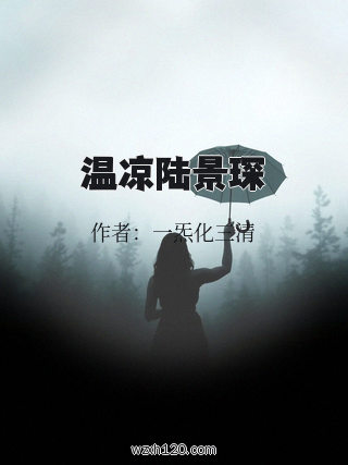 温凉陆景琛