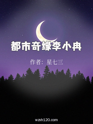 都市奇缘李小冉