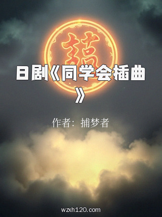 日剧《同学会插曲》
