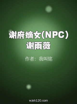 谢府嫡女(NPC)谢雨薇