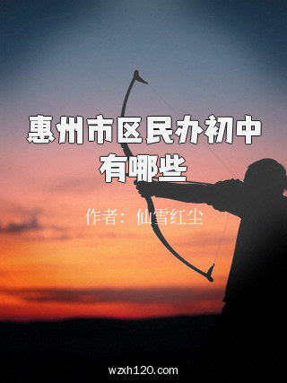 惠州市区民办初中有哪些