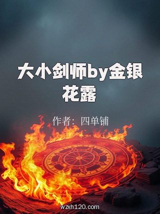 大小剑师by金银花露