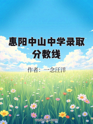 惠阳中山中学录取分数线