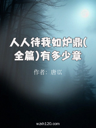 人人待我如炉鼎(全篇)有多少章