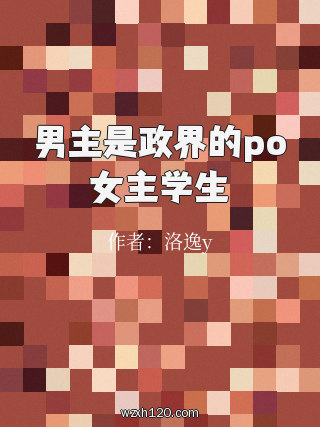 男主是政界的po女主学生