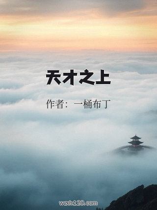 天才之上