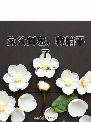 家父刘宏,我躺平了