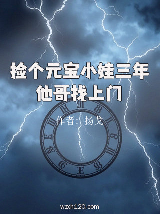 捡个元宝小娃三年他哥找上门