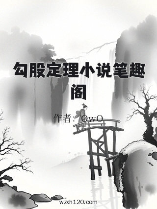勾股定理小说笔趣阁