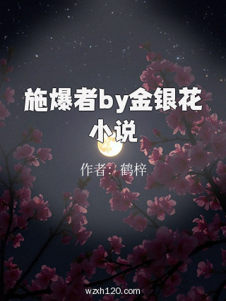 施爆者by金银花小说