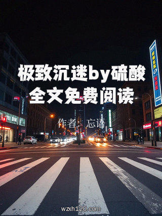 极致沉迷by硫酸全文免费阅读