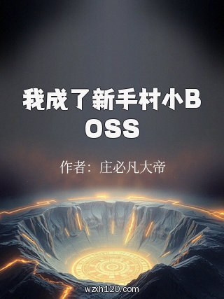 我成了新手村小BOSS