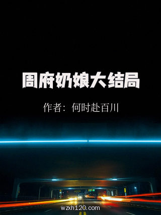 周府奶娘大结局