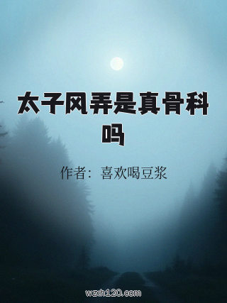 太子风弄是真骨科吗