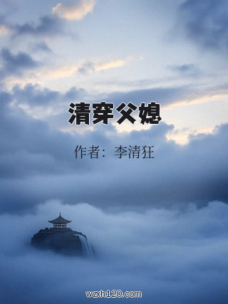 清穿父媳