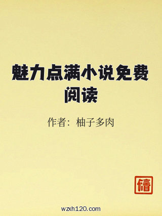 魅力点满小说免费阅读