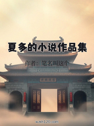 夏多的小说作品集