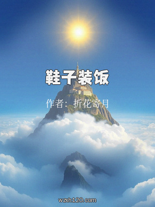 鞋子装饭