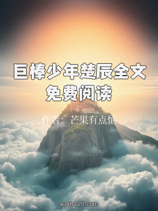 巨棒少年楚辰全文免费阅读