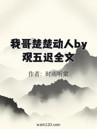 我哥楚楚动人by观五迟全文
