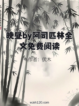晚昼by阿司匹林全文免费阅读