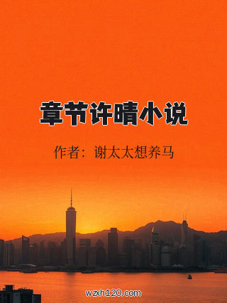 章节许晴小说