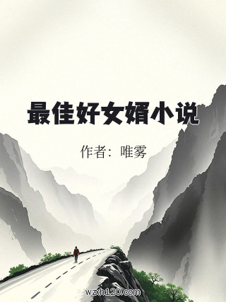 最佳好女婿小说