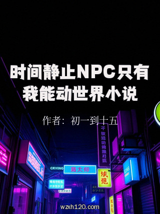 时间静止NPC只有我能动世界小说