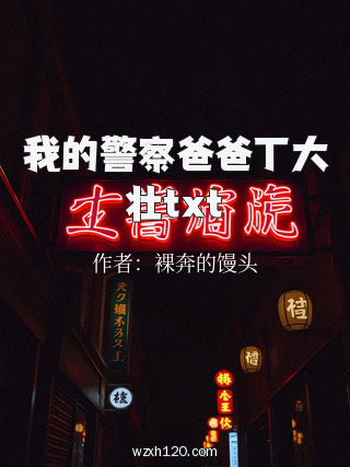 我的警察爸爸丁大壮txt