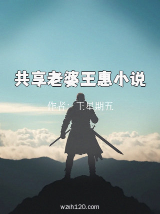 共享老婆王惠小说