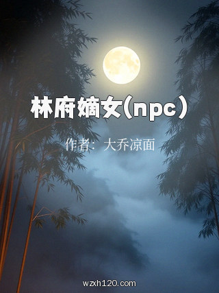 林府嫡女(npc)