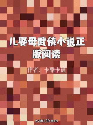 儿娶母武侠小说正版阅读