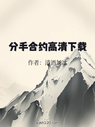 分手合约高清下载