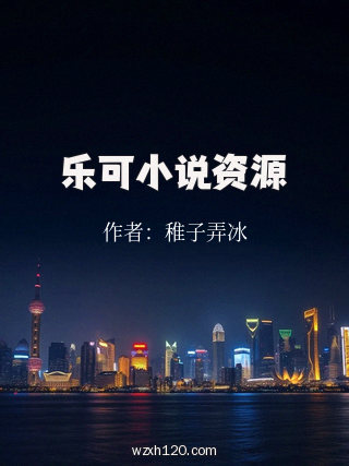 乐可小说资源