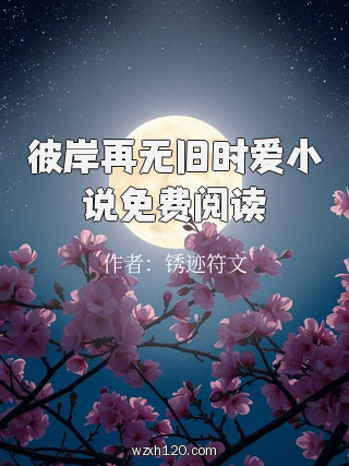 彼岸再无旧时爱小说免费阅读