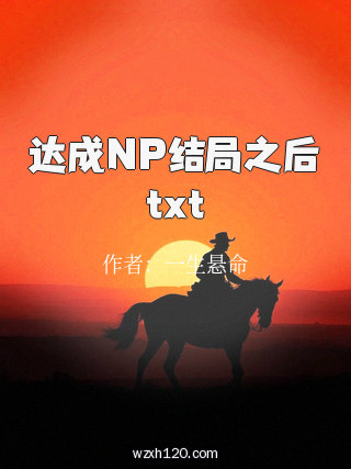 达成NP结局之后txt