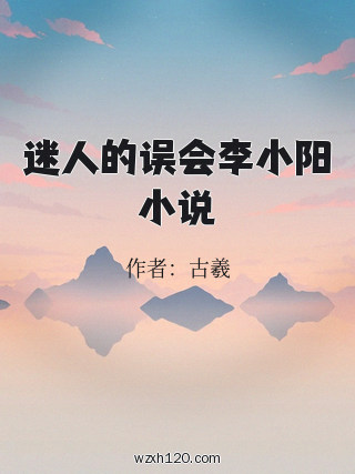 迷人的误会李小阳小说