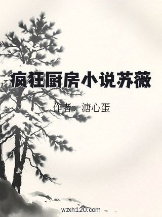 疯狂厨房小说苏薇